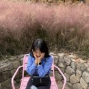 수명어름집 | 11월 둘째주 "화담숲" 즉석예약으로 다녀오기 / 예약 꿀팁