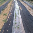 조홍한의원 이미지