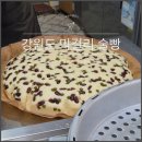 속초 중앙시장 강원도막걸리술빵 내돈내산 후기