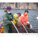 농소민박 이미지