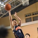 리바운드 이미지