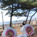 뉴명품카 이미지