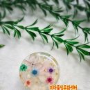 풀잎평생교육센터 이미지