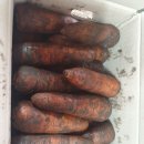 안녕하세요 제주도 단(밤)호박 보우짱 로얄과로 박스무게제외 10키로 1박스 35,000원 저렴하게 주문받습니다 이미지