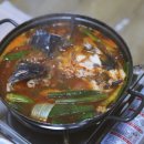 죽도해삼 이미지
