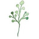 케이팜스타 이미지