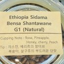 커피(coffee)하우스 이미지