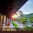서울자전거휴게소 | 금강휴게소 두 번째 차박 근처 가볼 만한 곳 충북 옥천 민간정원 강보고