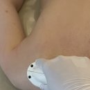 디스크독연구소 | *이너뷰티연구소*체험다녀왔어요! 홍제동필라테스,홍제동체형교정