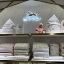 롯데백화점 잠실점 | 에뜨와 롯데백화점잠실점 후기