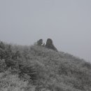 속리산(청주) 이미지