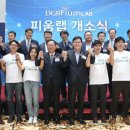 파이어씨드 이미지