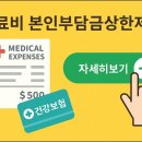 의료비 본인부담금상한제란 도대체 무엇? 이미지