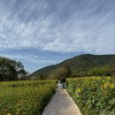 꽃단지 화장실 이미지