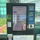 도서관에 온 거북이 로봇 | 여수 미니 아쿠아리움 해양수산과학관 6세이하 무료입장