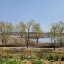 조가네갑오징어(왕송호수점) 이미지