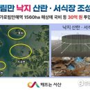 서산낙지 이미지