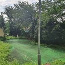 용원 하나 골프연습장 이미지