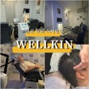 웰킨(일산화정점)