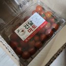 [앱테크] 방구석 농부 나야나 👩🏻‍🌾 | 토마토,계란 수확기|올팜 | 농작물키우기