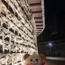 후니독 | 2025년의 마지막 날