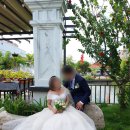 원국제결혼 이미지