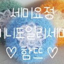 뜨개요정 이미지