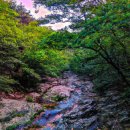 달맞이동산지구 이미지