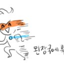 핫구 이미지