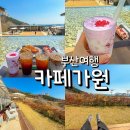부산 오륙도 카페 줄 서서 간 가원 구름딸기라떼 후기