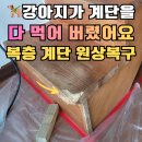(주)수원 보장구 수리센터 | 복층계단 보수 나무계단 모서리 코너수리_수원 오피스텔