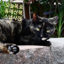 마인계터로 네이버블로그