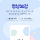 안멍냥 네이버블로그