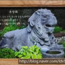 포천표구사 네이버블로그