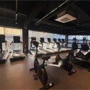 마블 피트니스 이미지