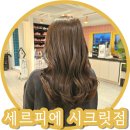 회기미용실 세르피에헤어 시크릿점 애쉬매트 염색 후기!