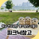 뚝섬 한강공원 피크닉창고 돗자리 대여 내돈내산 즐거웠던 나들이