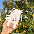 아이폰케이스+스마트톡 세트 '<b>키키럽</b>케이스 귤귤든곰'