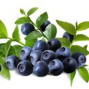 굿라이프슈퍼마켓 이미지