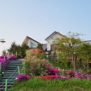 스테이 지천 이미지