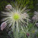 옥계농장 이미지