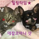 [공지]본격! 스타일러 에어드레서 비교 만화