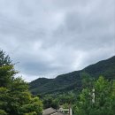 월드에코팜 이미지