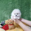 간식타이밍 이미지