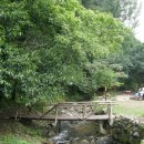 상관편백숲길 이미지