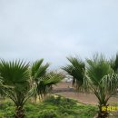 캐슬블랙스톤2 이미지