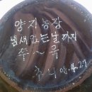 동구레