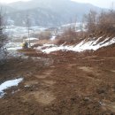 수배농장 이미지