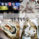 경주 양남 횟집 추천 허영만 백반기행 회맛집 동일횟집