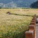 순천만정원하우스 이미지